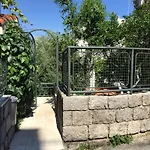 Apartment Branka Fortunella