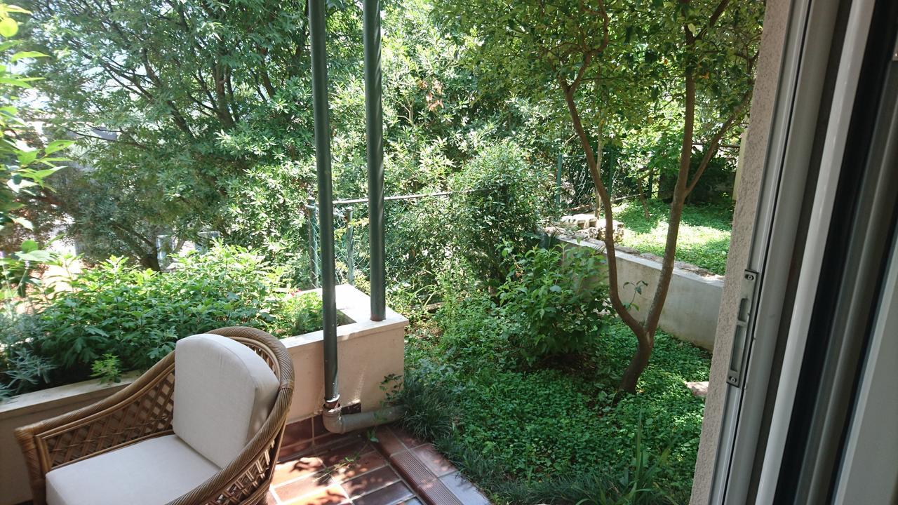 Apartment Branka Fortunella *